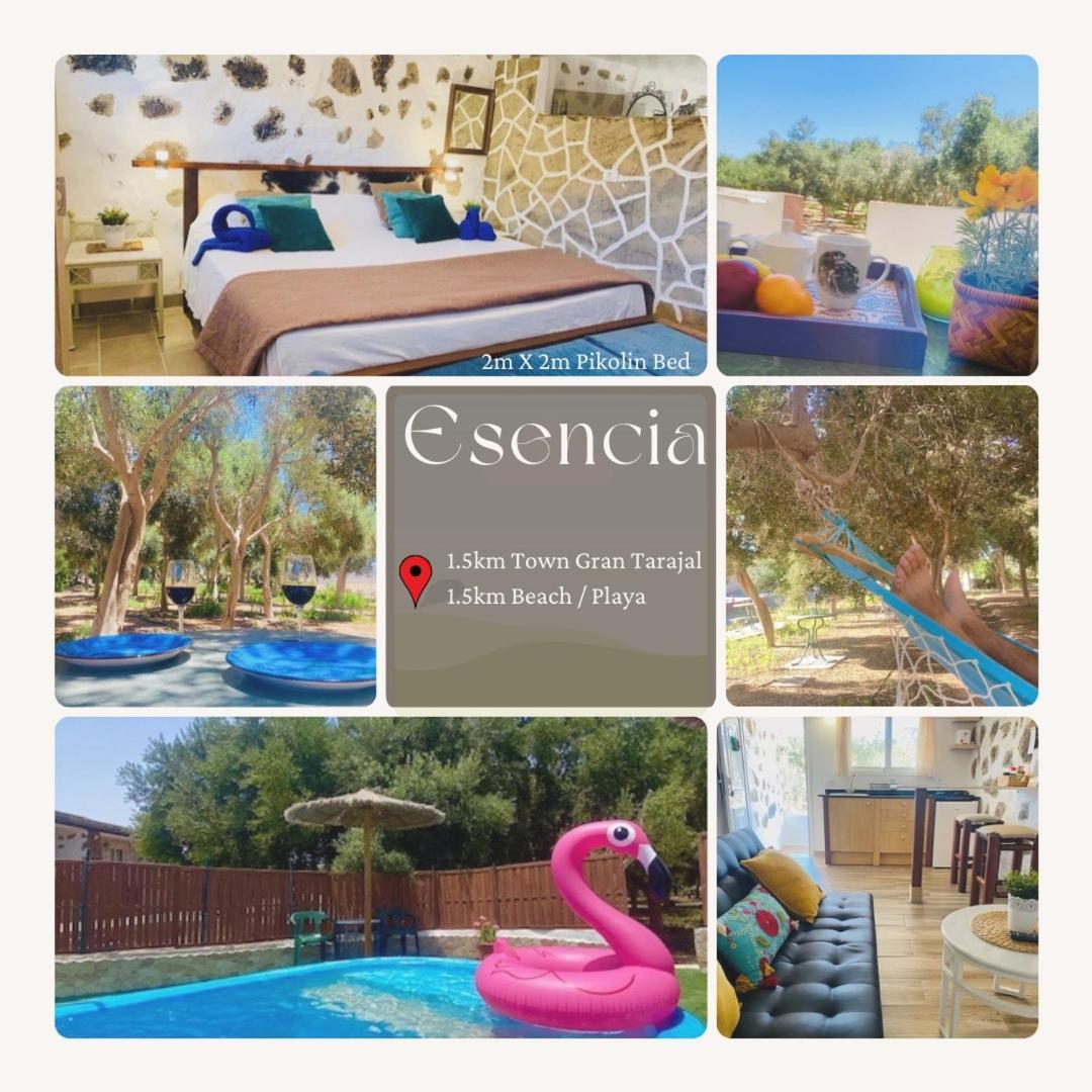 Bungalow Alma #Only Adults El Charco  Kültér fotó